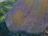 Grenzstein S-20 (Bild 2 von 4)