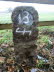 SW-13 (Bild 2 von 2)